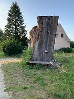 20250815_172730477_iOS