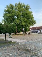 20250814_181952106_iOS