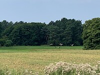 20250815_113028917_iOS