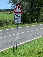 20250904_104657284_iOS