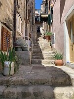 IMG_3090