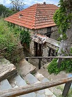 IMG_3131