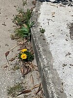 IMG_3149