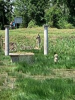 IMG_3199