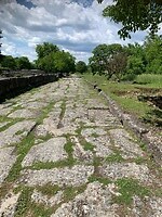 IMG_3203