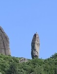 IMG_3231