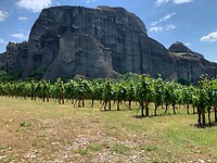 IMG_3222