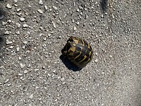 IMG_3230