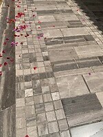 IMG_3270