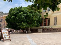 IMG_3275