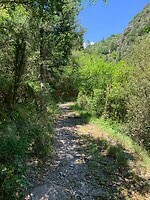 IMG_3282
