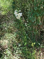 IMG_3283