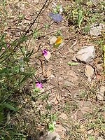 IMG_3285