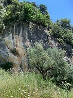 IMG_3290