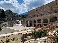 IMG_3304