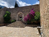 IMG_3311