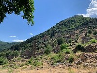 IMG_3312