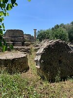 IMG_3331