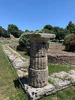 IMG_3334
