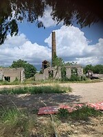 IMG_3348