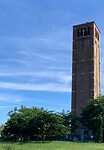 IMG_3383
