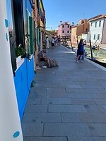 IMG_3374