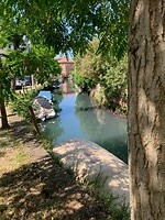 IMG_3366