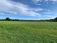IMG_3420