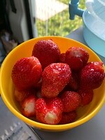 IMG_3419