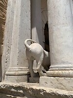 IMG_3413