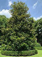 IMG_3405