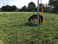 IMG_0471