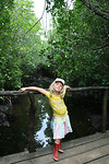 Jozani, mangrove