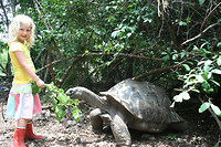 Turtle farm