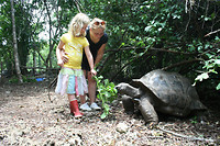 Turtle farm
