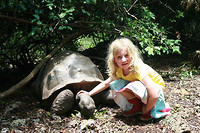 Turtle farm