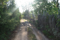 Ochtendwandeling