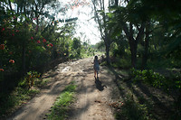 Ochtendwandeling