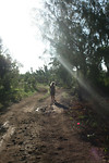 Ochtendwandeling