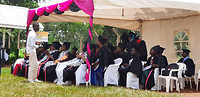 Graduates