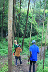 Sipi Falls