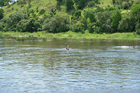 Murchison NP