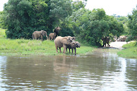 Murchison NP