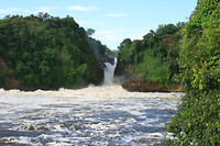 Murchison Falls
