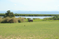 Murchison NP, nijlpaard (daar komt de naam dus vandaan)