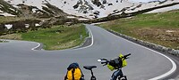1000016003