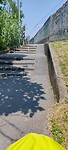 1000016404