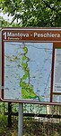 1000016497