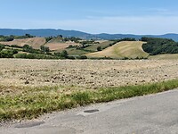 1000017289