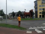 Twee stieren